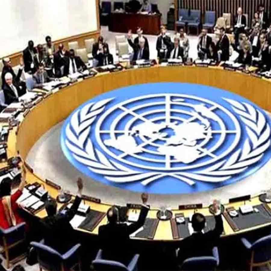 UN looks to New Delhi for food security