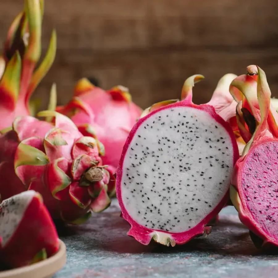 How to grow dragon fruits in your home garden or balcony dgtl