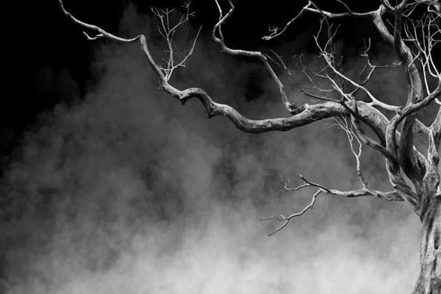 Codex Gigas, known as Devil's Bible