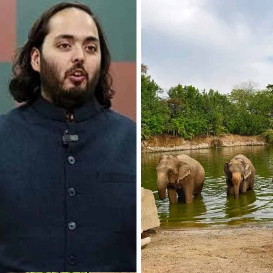 What Vantara authority said after Supreme Court sets up SIT to examine operations of that dgtl