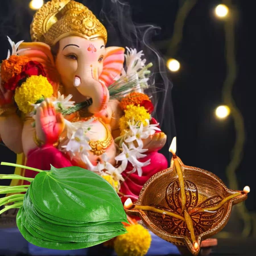 Simple Remedies for Wealth Career Growth and Lord Ganeshas Divine Blessings dgtl