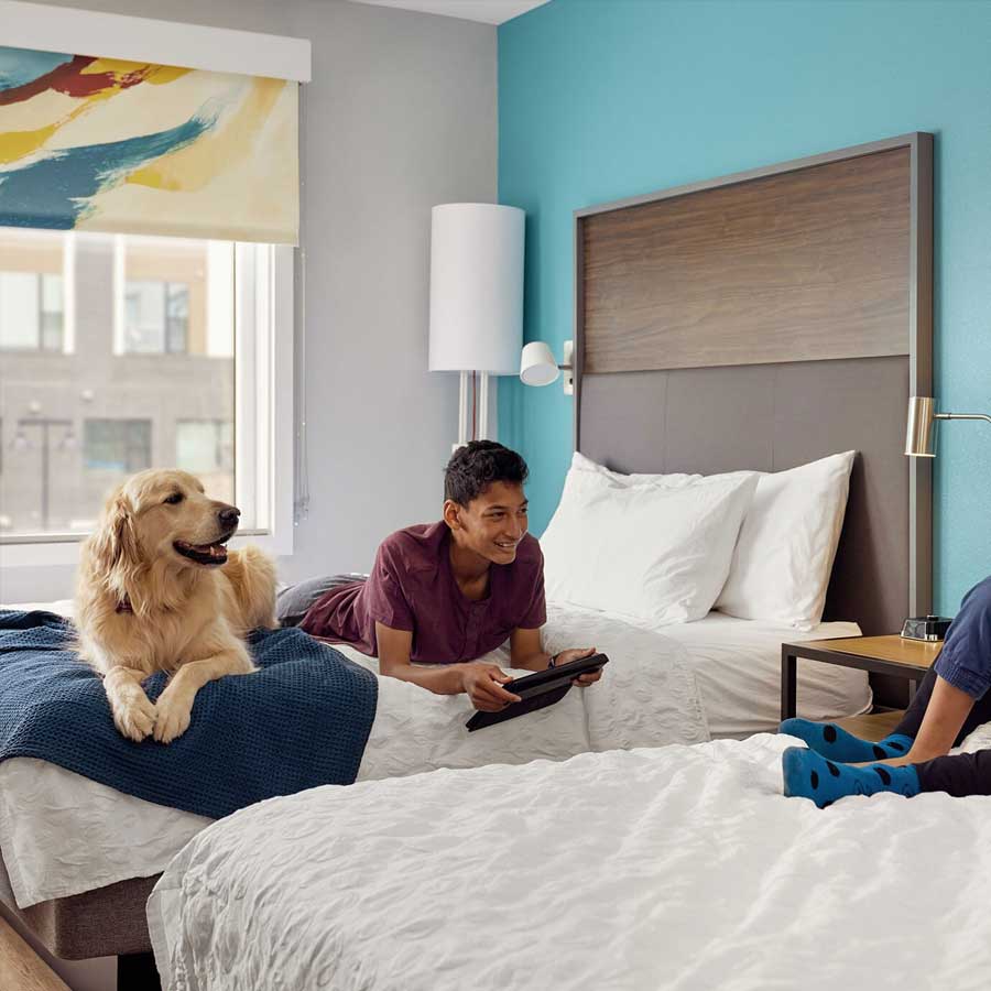 Chinese hotel arranging pet friends for guests