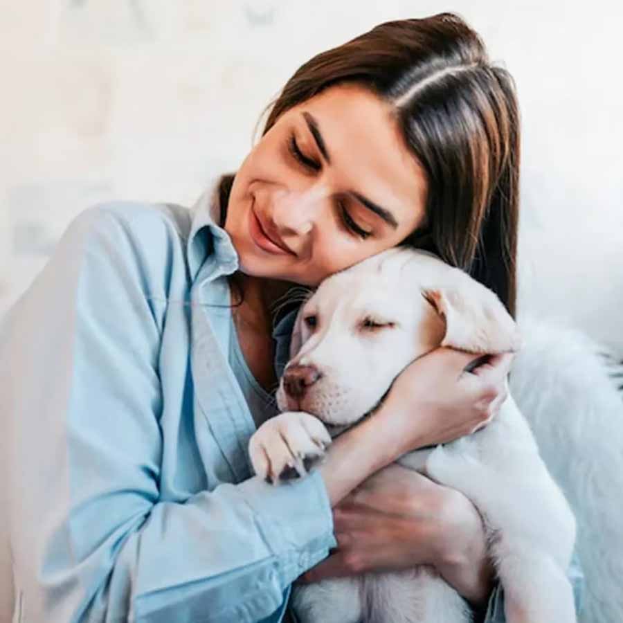 Chinese hotel arranging pet friends for guests