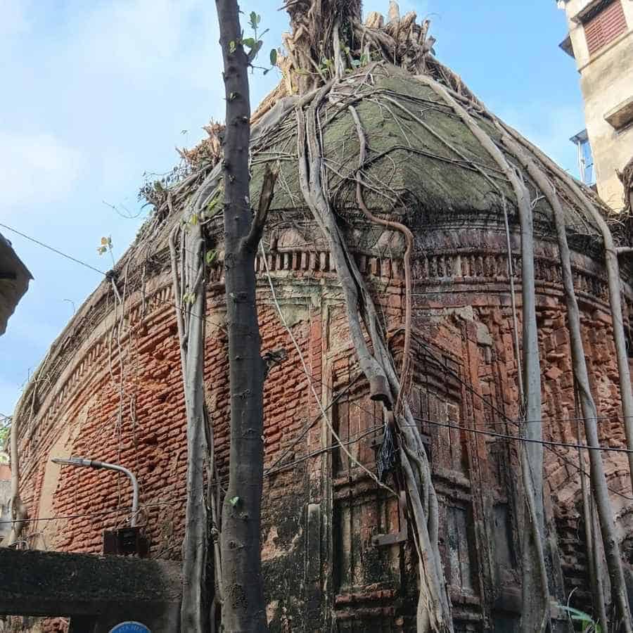 বনমালী সরকার স্ট্রিটে এই মন্দিরটিতে এক সময়ে টেরাকোটার কাজ দেখা যেত। এখন তা ভগ্নপ্রায়। গাছের শিকড় মন্দিরকে প্রায় পুরোটাই গ্রাস করেছে। তবে ভিতরে এখন দেবাদিদেব বিরাজ করছেন। আনুমানিক ১৭৩০-৪০ সালে এটি নির্মিত হয়েছে বলেই মনে করা হয়। জানা যায়, এই মন্দিরের প্রতিষ্ঠাতা বনমালী সরকার। 