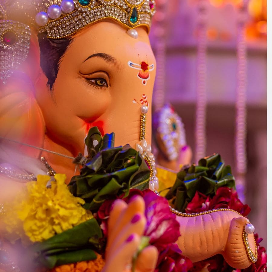 মন্ত্র পাঠ শেষ হলে এই পান পাতা এবং লবঙ্গগুলি আপনার টাকার ব্যাগ অথবা লকারে রেখে দিন। সিদ্ধিদাতার কৃপায় কখনও অর্থাভাব হবে না আপনার। 