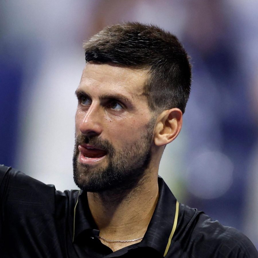 picture of Novak Djokovic