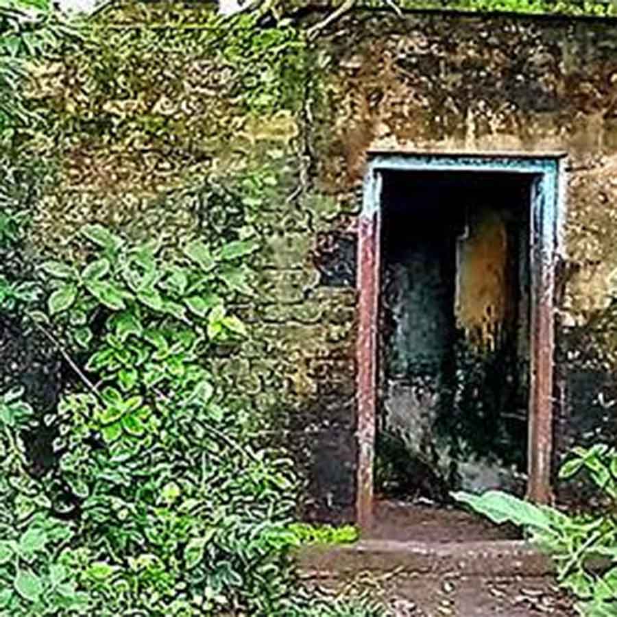 Abandoned factories of Kalyani has become a hub of criminal activity