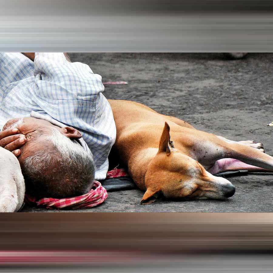 It seems that 'wise people' want to make inequality and domination the pillars of civilization