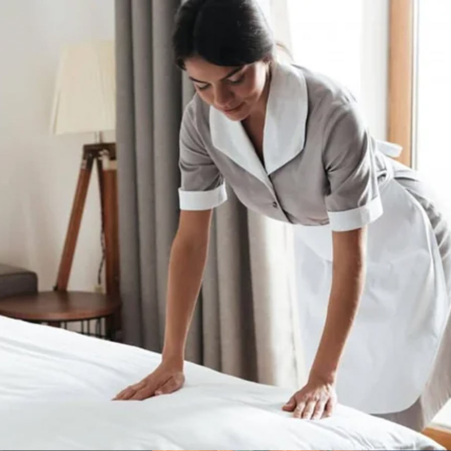 domestic worker who secretly took on cleaning jobs fined