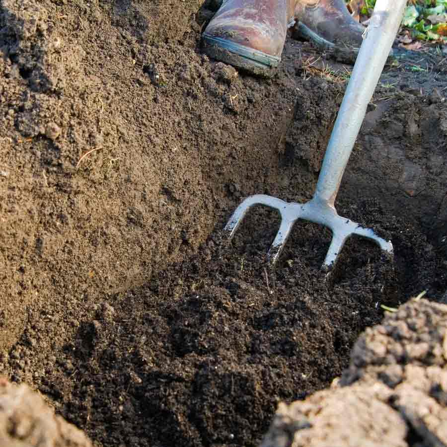 All need to know about chilling murder story of Alcasser girls from Spain