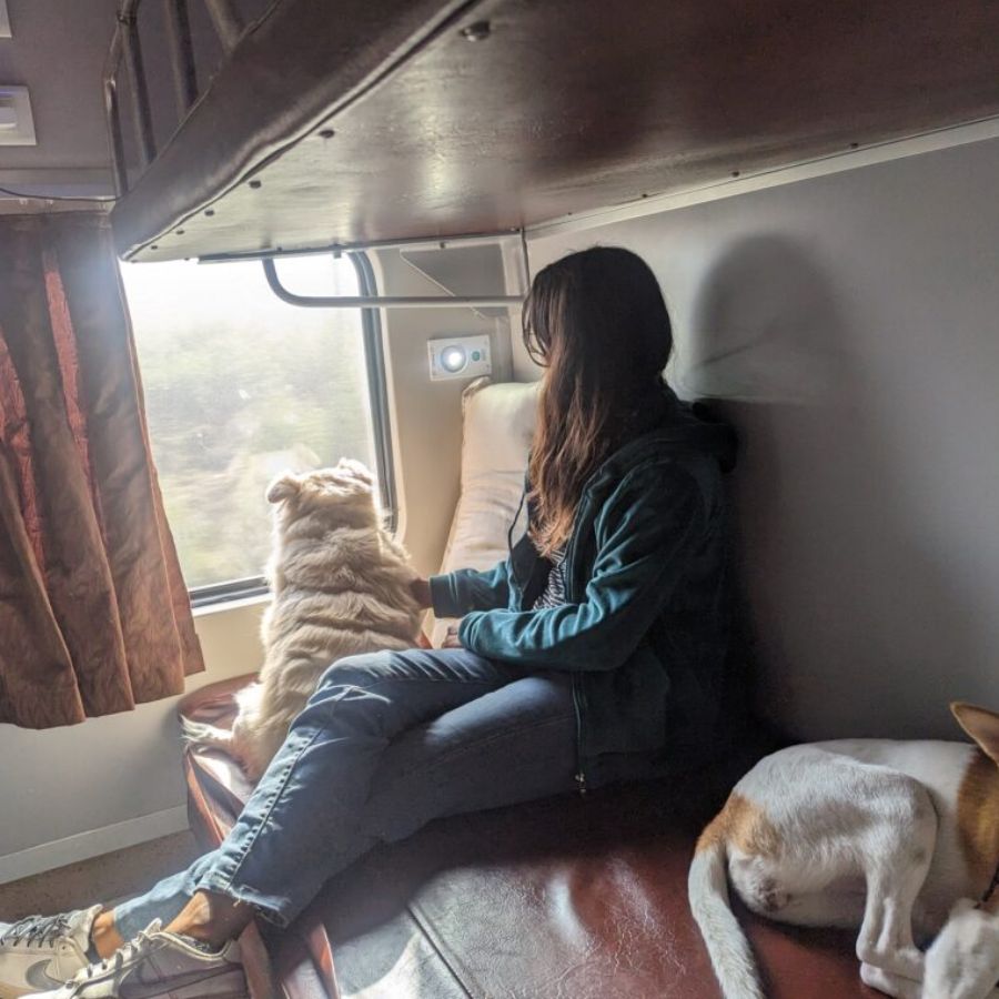 ৩. জানলার সিটই যেন সিনেমা হল সবুজ মাঠ, গ্রামের খেলা, কিংবা হাত নাড়তে থাকা শিশু—জানলার বাইরের দৃশ্যই যেন রেলের সিনেমা। বুকিংয়ের সময় জানলার ধারের সিট নিতে ভুলবেন না।  