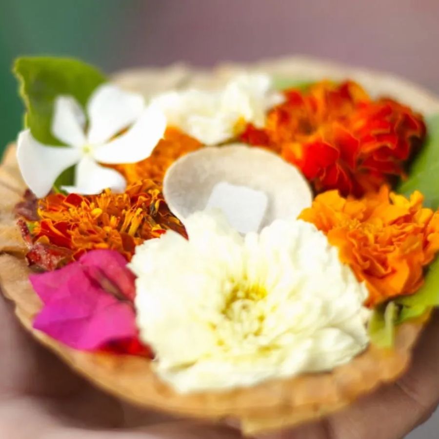 Flower cultivation has been affected by continuous rains