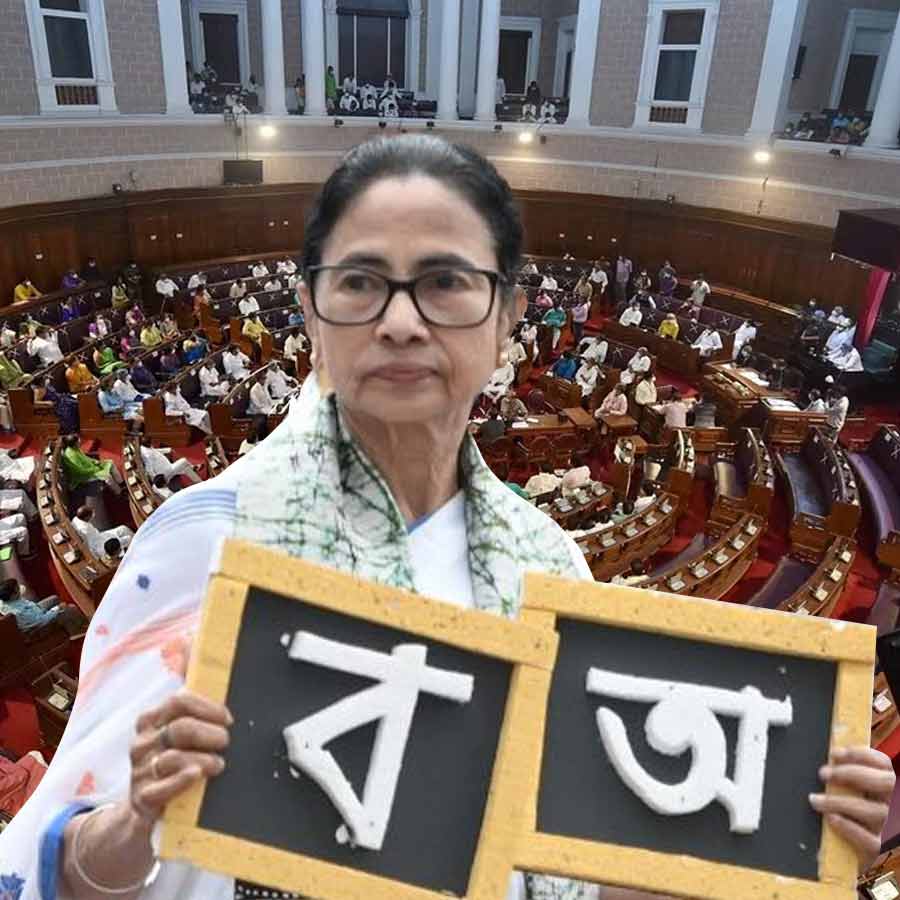 CM Mamata Banerjee government will fetch two motions in assembly including Bangla and Bangali issue
