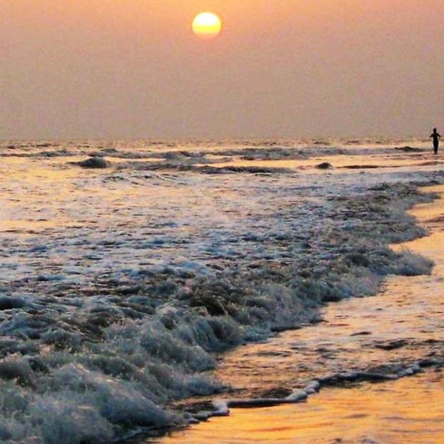 ফ্রেজারগঞ্জ: সাদা বালির এই সমুদ্র সৈকত কয়েক দিন ছুটি কাটানোর একেবারে আদর্শ জায়গা। শান্ত পরিবেশে মন ভাল হতে বাধ্য। এখানে প্রতি বছর বহু পরিযায়ী পাখি আসে। তাই এ বার পুজোর ছুটির গন্তব্য হতেই পারে এই সাগরতীর।