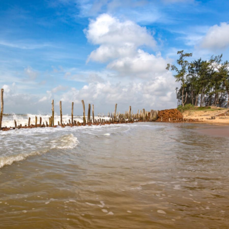 তাজপুর: মন্দারমণি আর দিঘার মাঝামাঝি এই সমুদ্রসৈকতটিও এ বার পুজোয় আপনার গন্তব্য হতেই পারে। শান্ত জলরাশি, লাল বালির এই সাগরতট যেন বিশ্রামের আদর্শ জায়গা। 