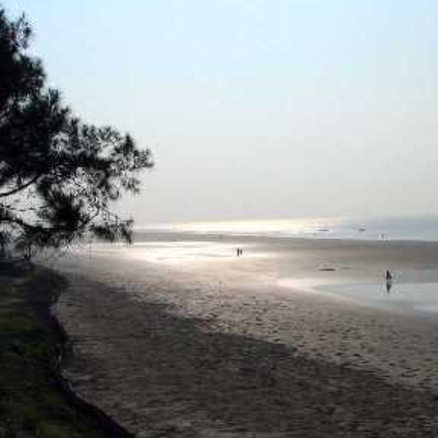 বকখালি: পাখিদের কলতান আর নোনা হাওয়ায় এক-দু’দিন কাটাতে চাইলে বকখালি থেকেও ঘুরে আসতে পারেন। নৌকোয় চেপে ঘুরে নিতে পারেন কাছের ম্যানগ্রোভ জঙ্গল থেকে। 