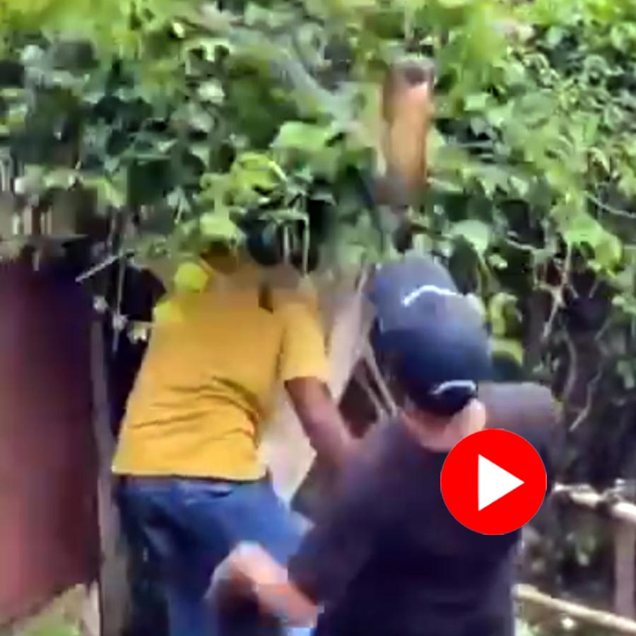 Video of king cobra attacking forest officials in Dehradun goes viral dgtl