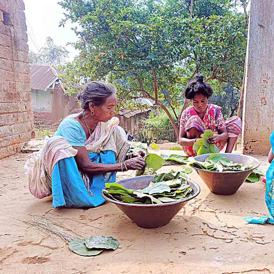 Farm Workers are in trouble in this harvest season as Combine Harvester Machine has took away their jobs
