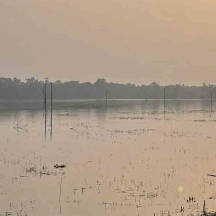 Migratory birds not coming due to pollution at Midnapore