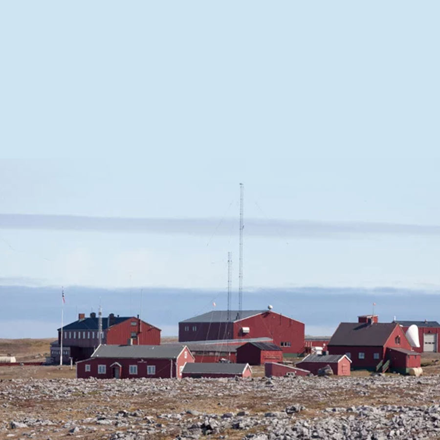 Satellite picture shows massive gathering of Huge arctic creatures on Svalbard Island, what it means