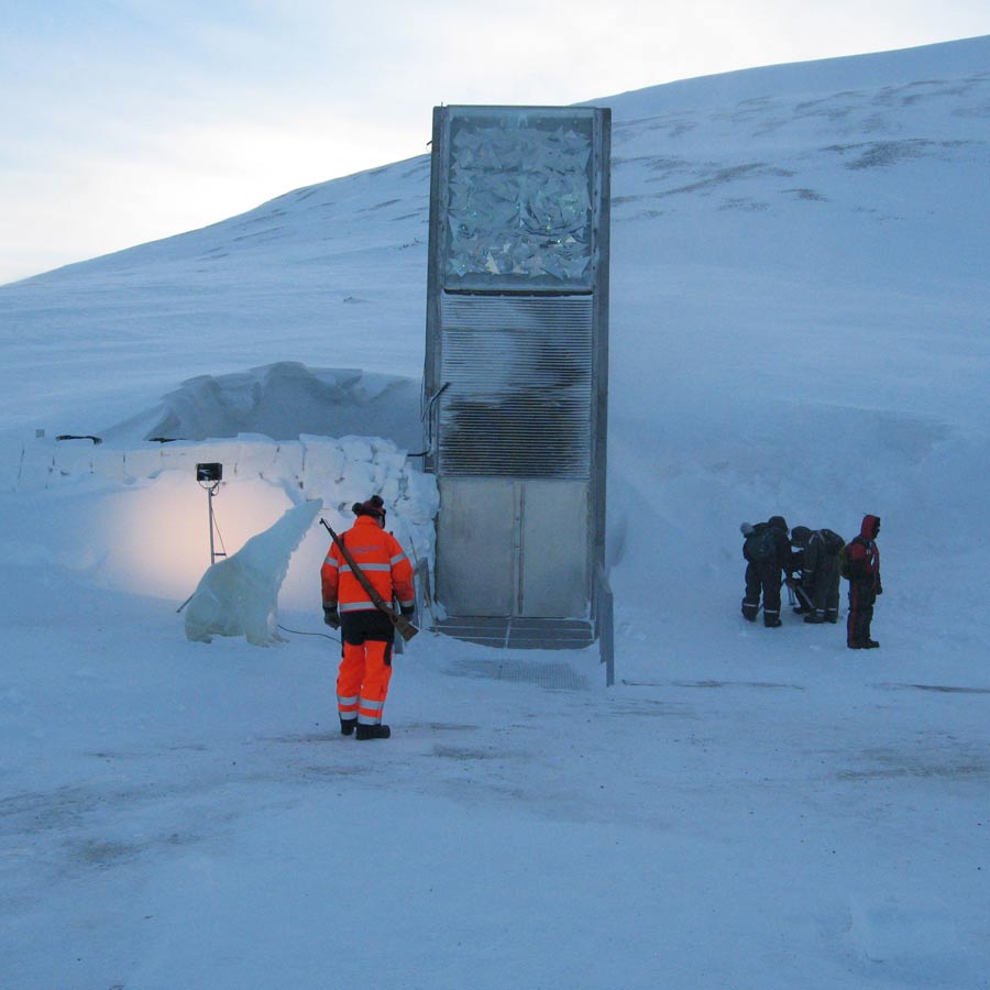 Satellite picture shows massive gathering of Huge arctic creatures on Svalbard Island, what it means