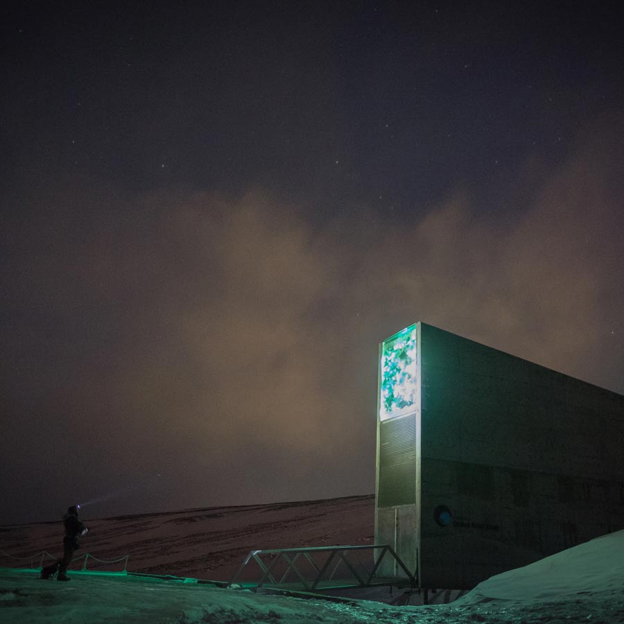 Satellite picture shows massive gathering of Huge arctic creatures on Svalbard Island, what it means