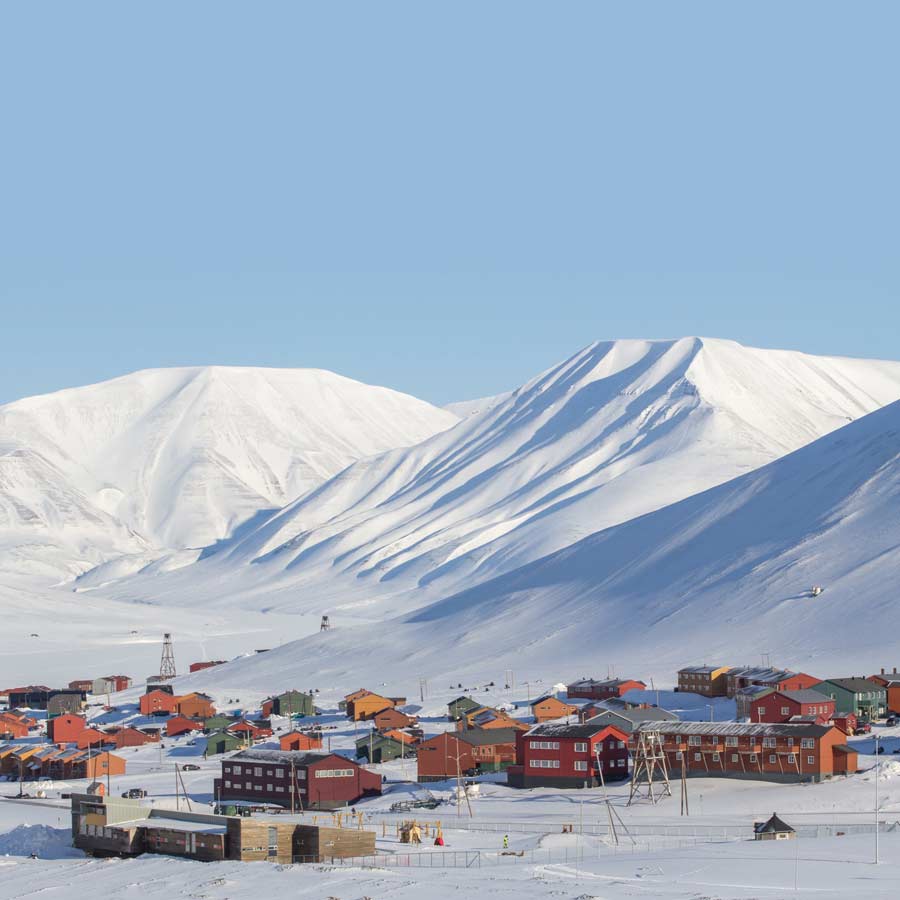 Satellite picture shows massive gathering of Huge arctic creatures on Svalbard Island, what it means