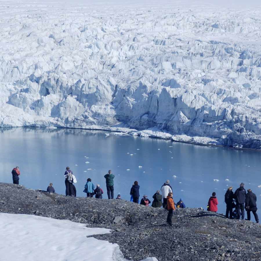Satellite picture shows massive gathering of Huge arctic creatures on Svalbard Island, what it means