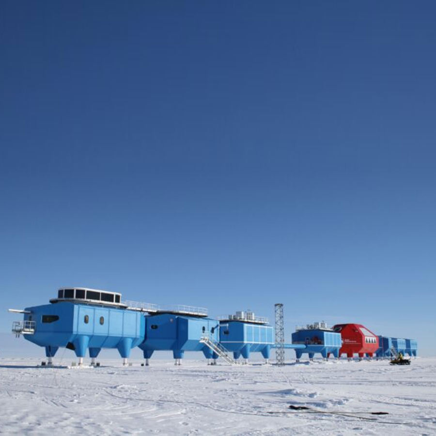 Satellite picture shows massive gathering of Huge arctic creatures on Svalbard Island, what it means