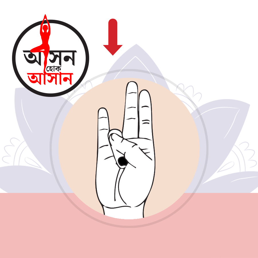 What are the health benefits of Surya Mudra