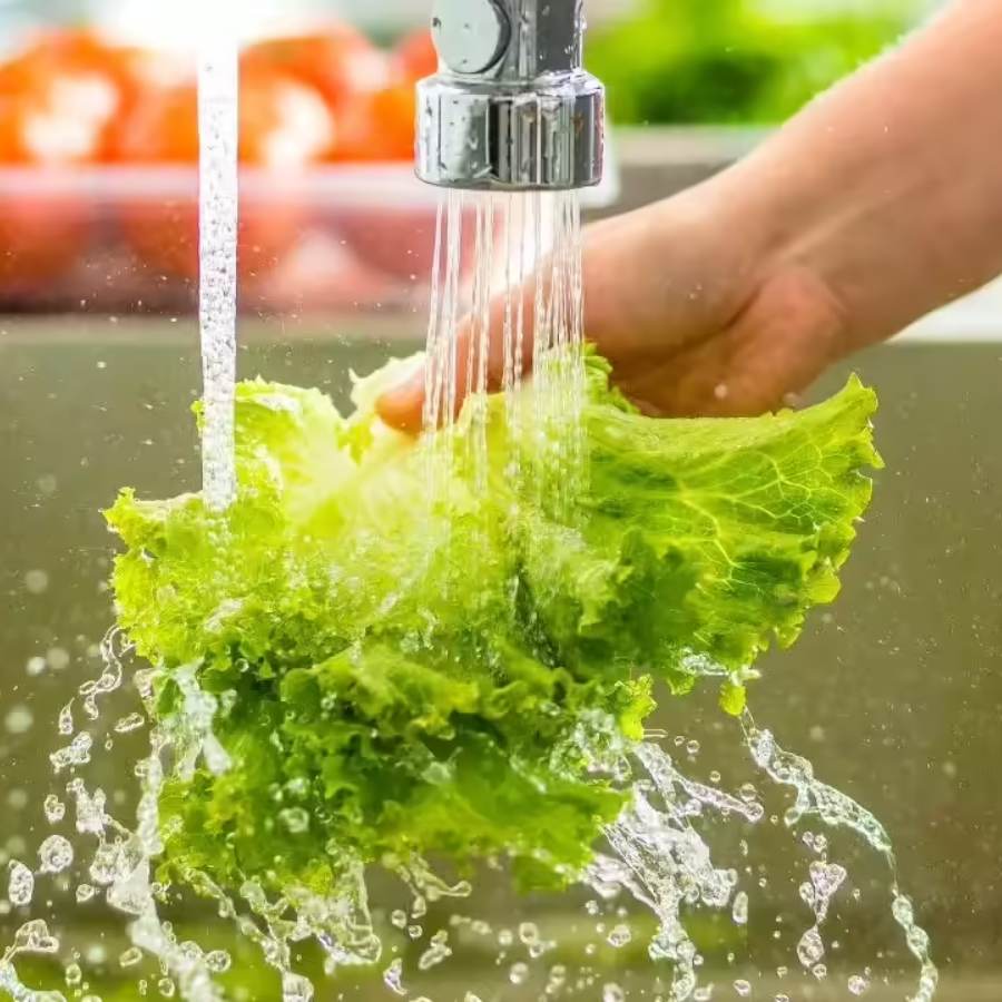 ঠান্ডা জলে সব্জি ধোয়া।