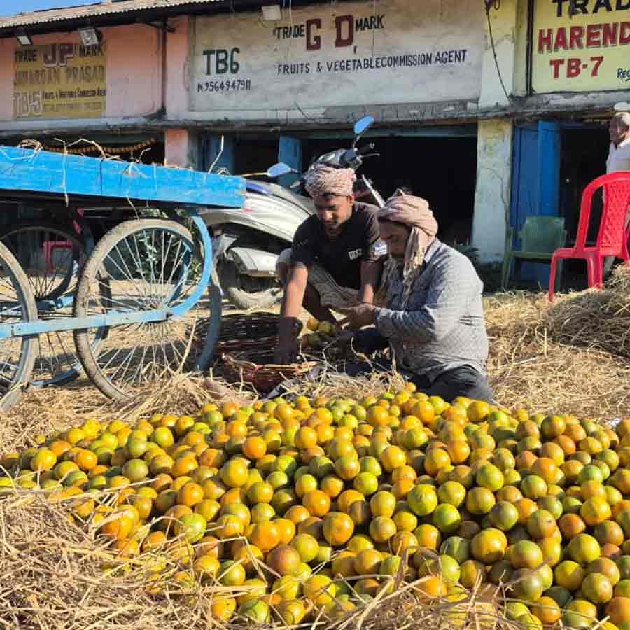 Mandarin orange of Darjeeling got GI tag dgtld