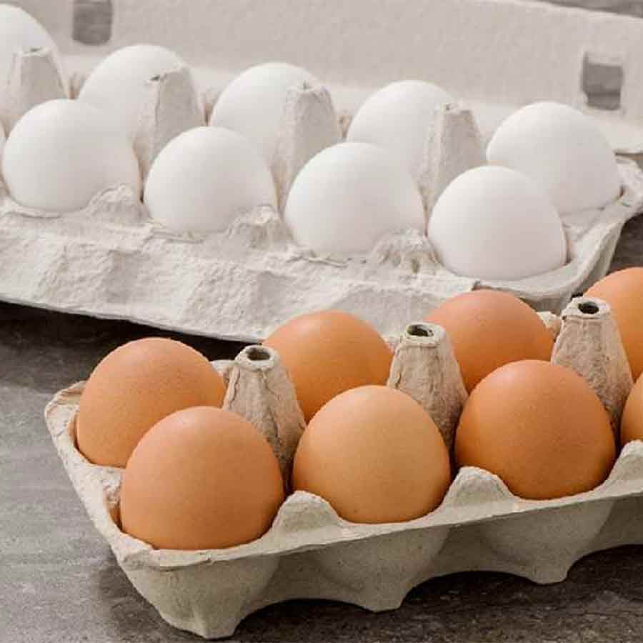 Students and pregnant women in trouble as price of egg is high