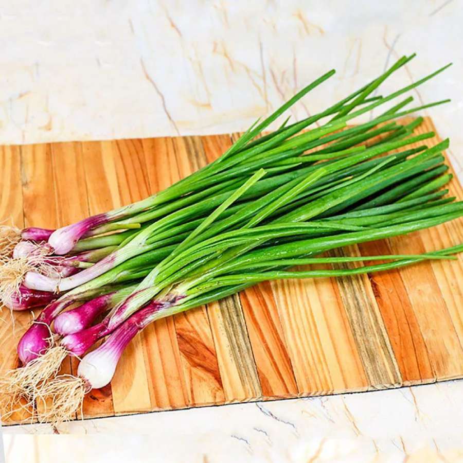 A simple water trick keeps spring onion fresh for longer dgtl