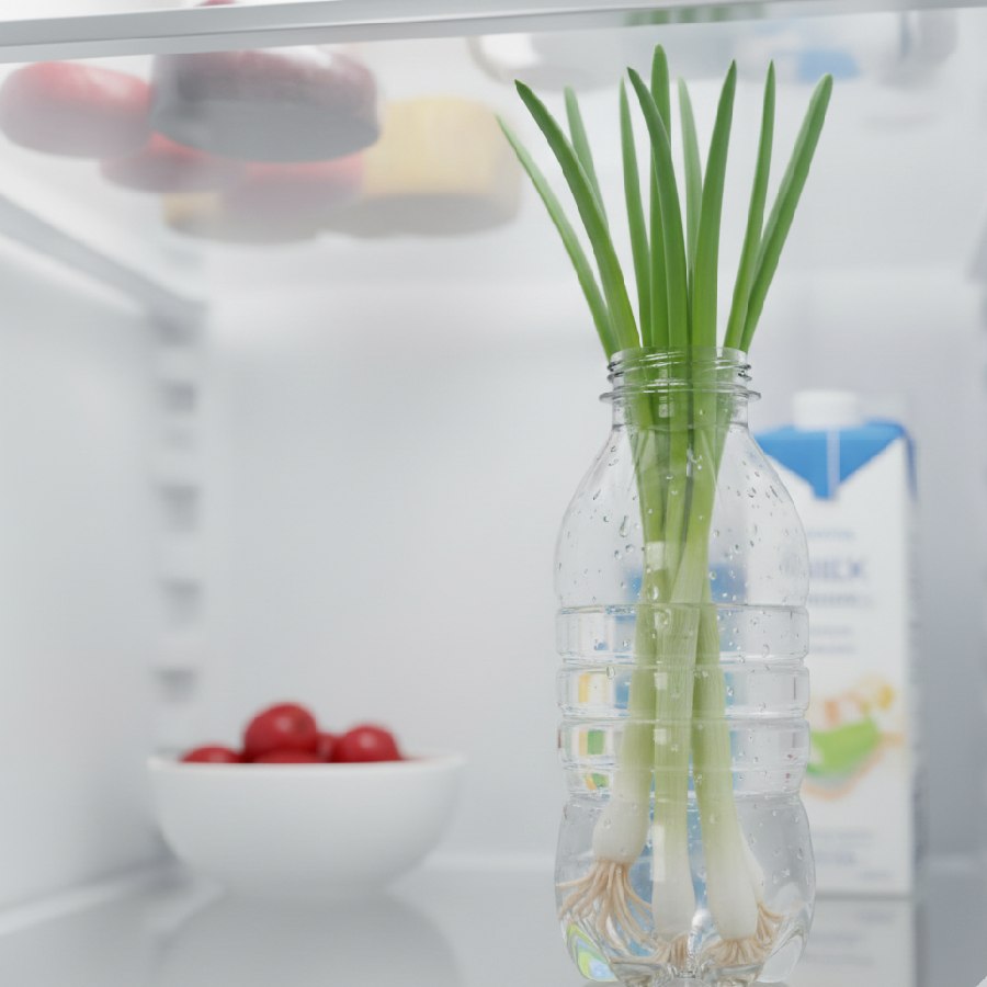 এই ভাবে রাখা যায় পেঁয়াজপাতা বা পেঁয়াজকলি।