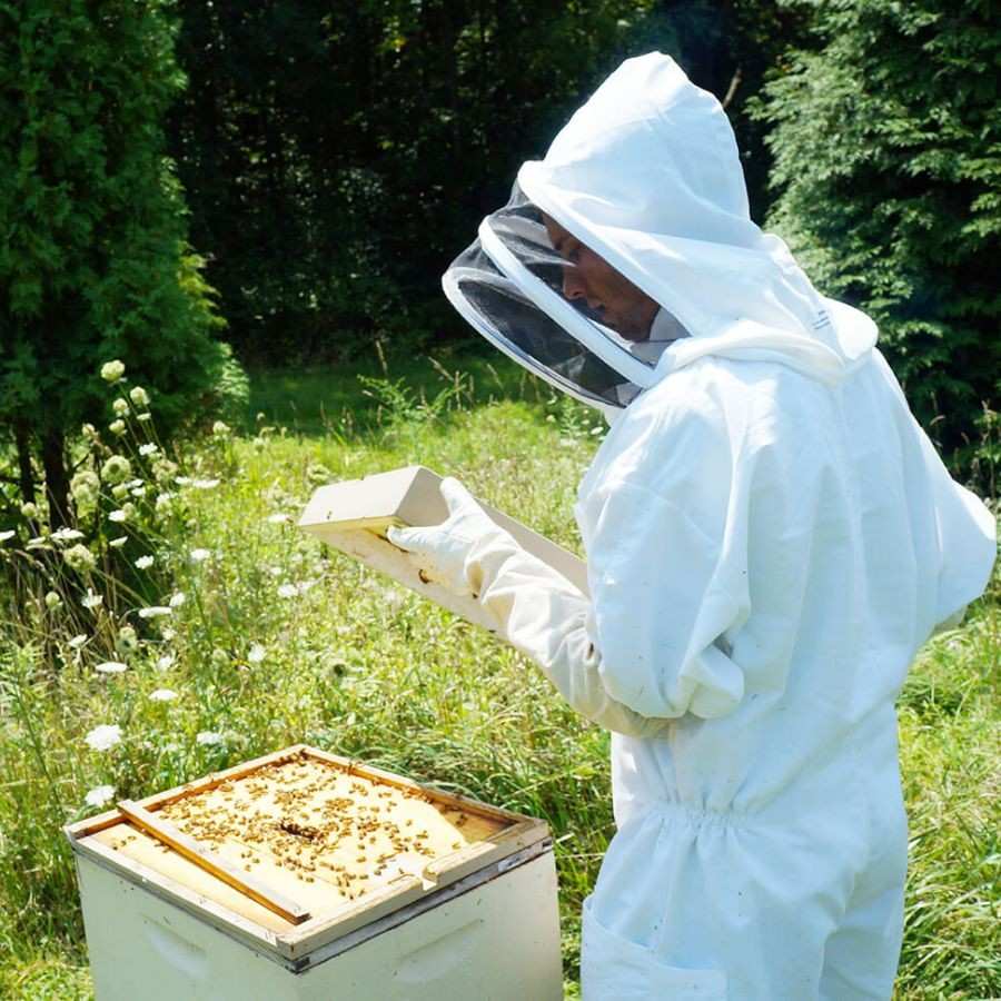 West Bengal State Health & Family Welfare Samiti is looking for post graduates for Zonal Entomologist role Dgtl