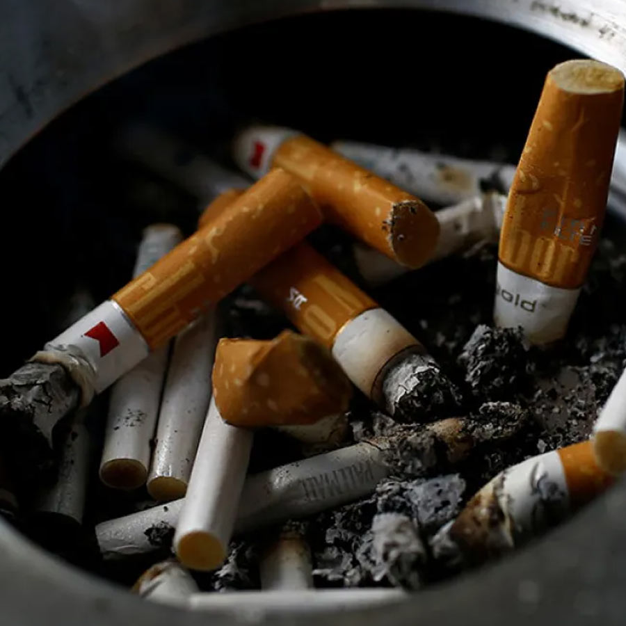 New cigarette and pan masala cess