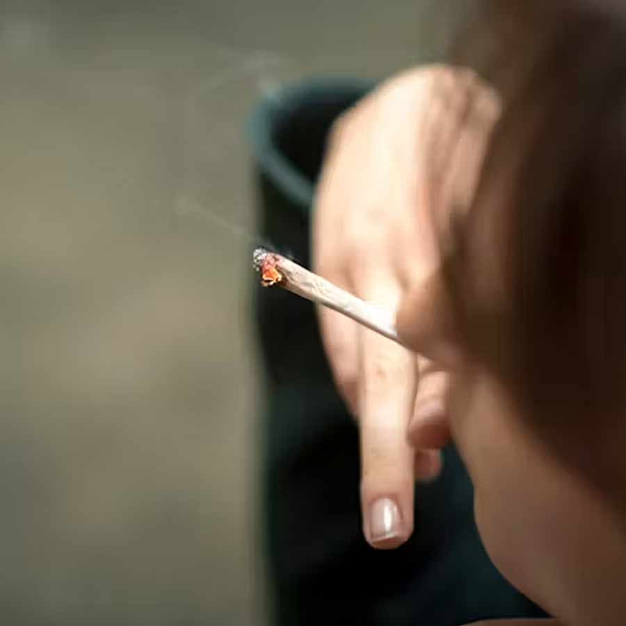 New cigarette and pan masala cess