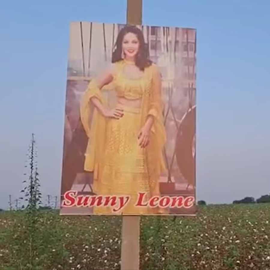 Karnataka farmer took an innovative technique to protect cotton dgtl dgtl