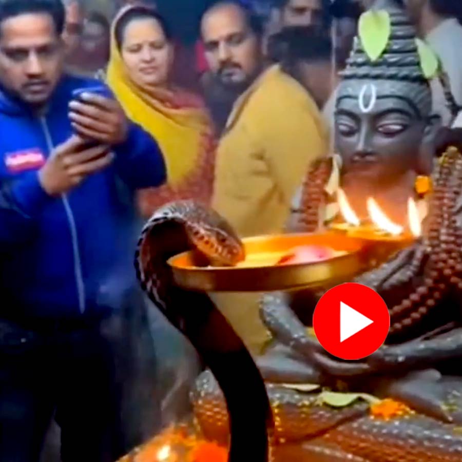 AI made video shows Big snake doing Aarti in Shiva temple, Internet reacts