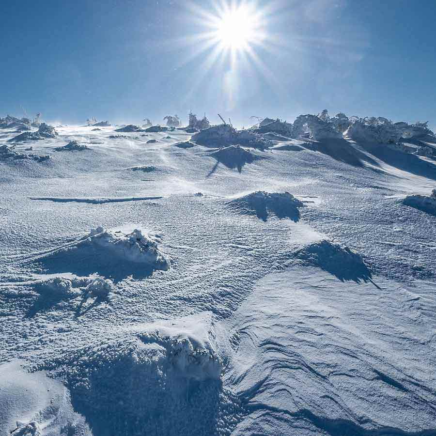 আন্টার্কটিকার তুষারাবৃত মরুভূমি বিজ্ঞানীদের কৌতূহলের কেন্দ্রে।