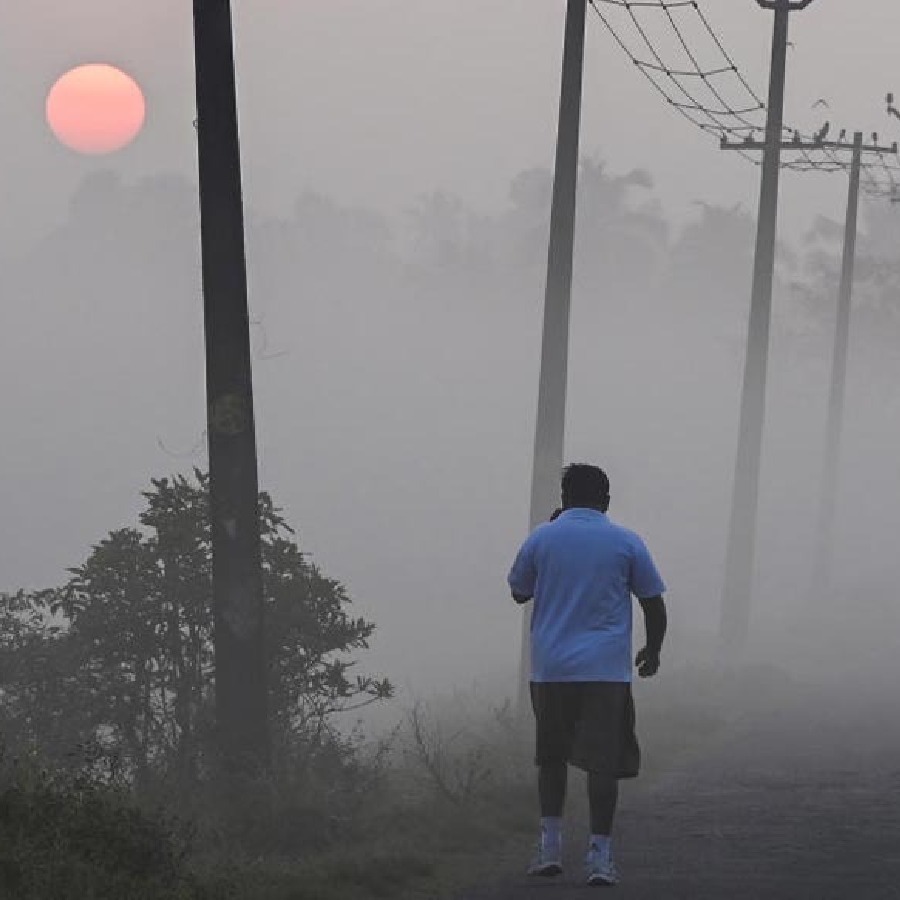 দক্ষিণবঙ্গের একাধিক জেলায় সকালের দিকে কুয়াশায় কমছে দৃশ্যমানতা।