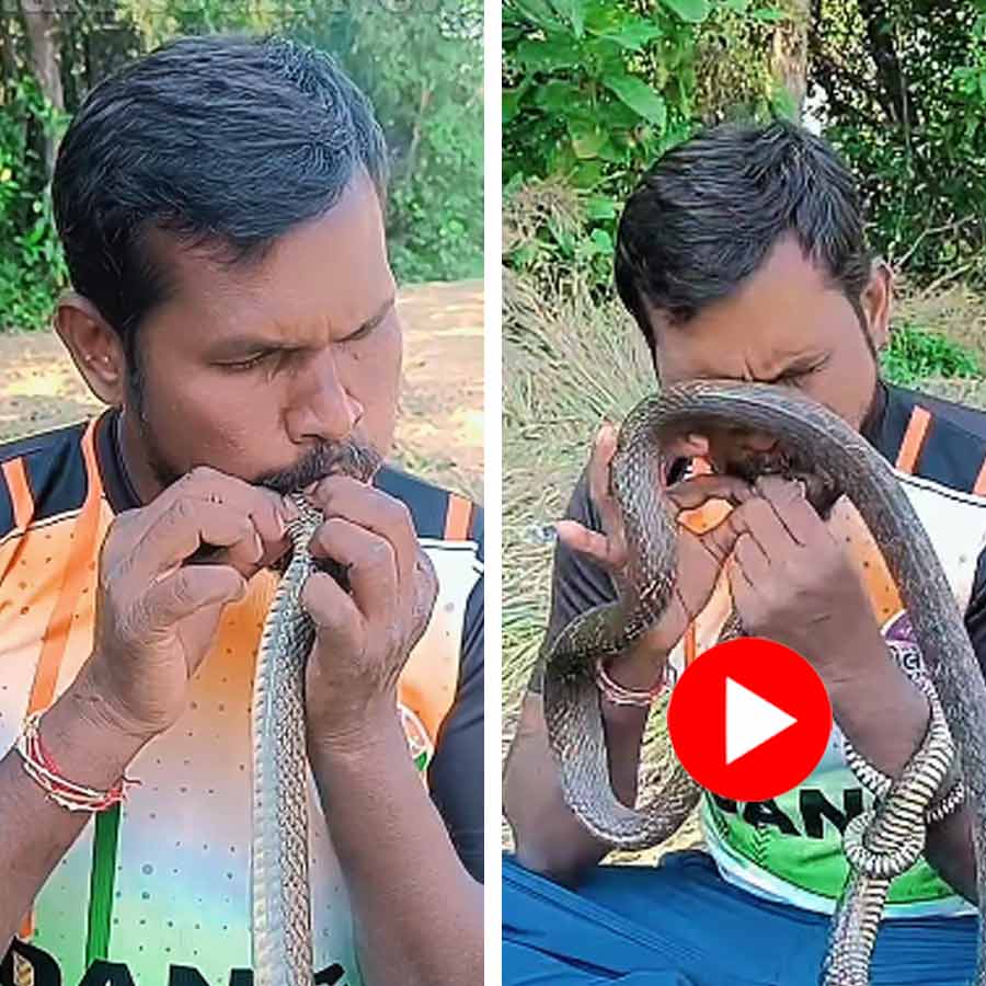 Video shows youth saves electrocuted snake by giving CPR to the animal