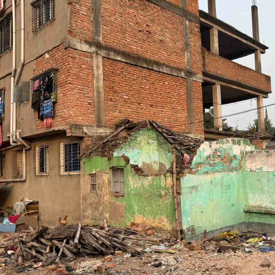 গার্ডেনরিচের ধ্বংসস্তূপে মুরগি চরে বেড়াচ্ছে।