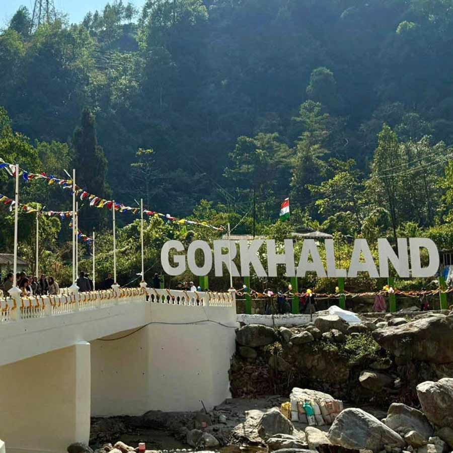 টুংসুং চা বাগান এলাকায় তৈরি সেই সেতু।