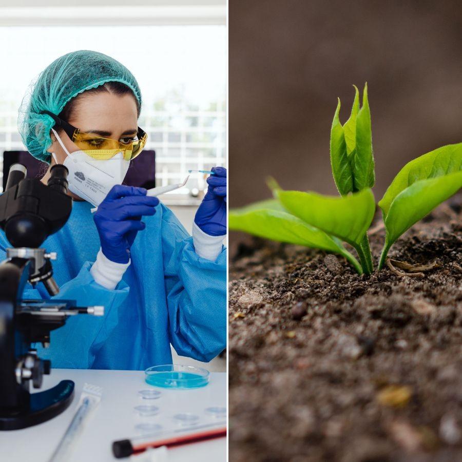 National Centre for Cell Science is offering  Ph.D. program of March, 2026 session in modern biology Dgtl