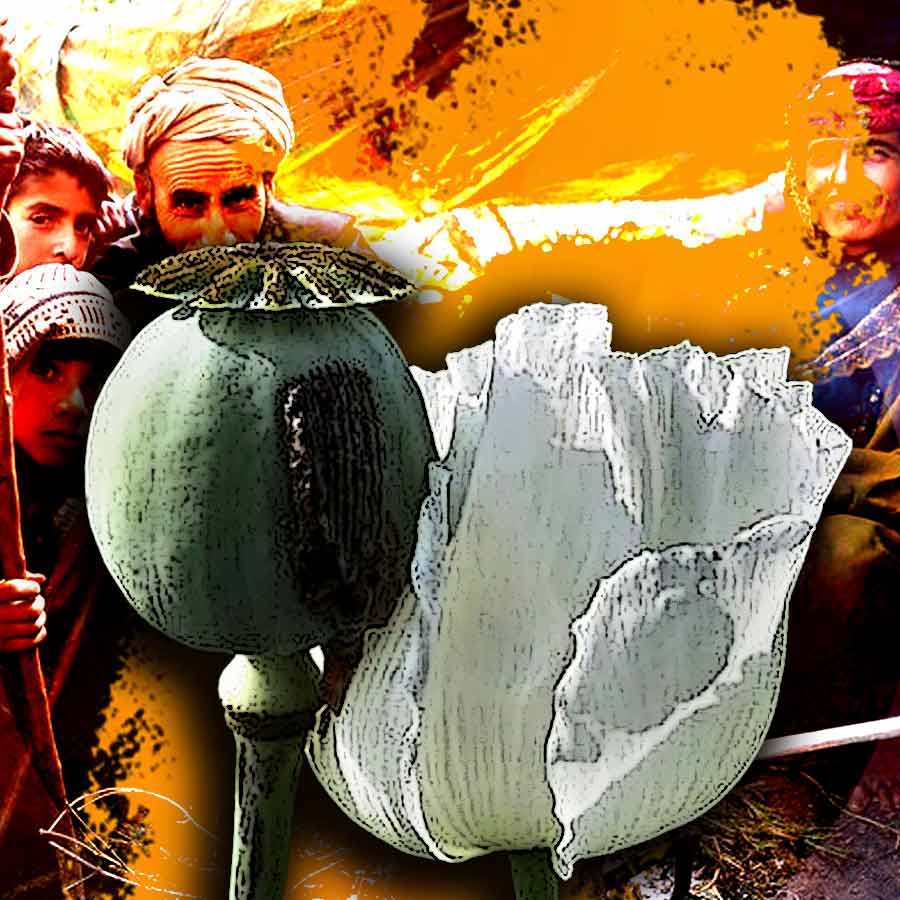 Opium farming increased in Myanmar, says the UN Office