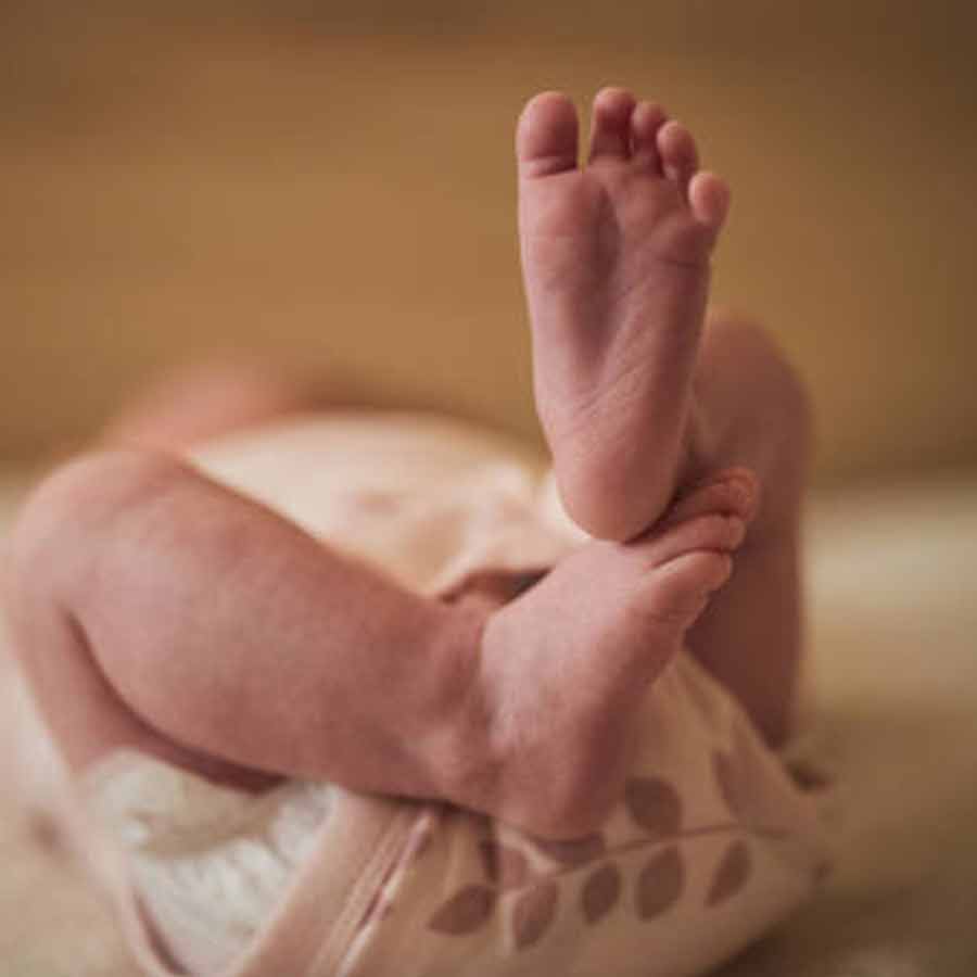 New born recovered from garden of baruipur hospital dgtld