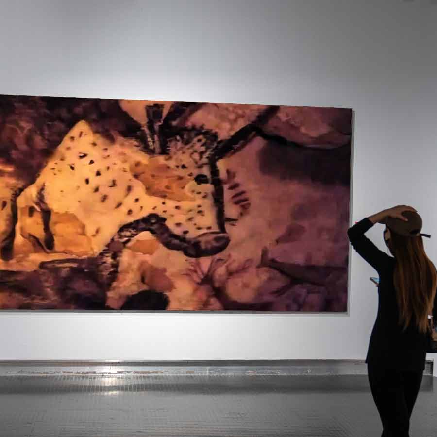 ২০২১ সালে এই গুহাচিত্রের সন্ধান মেলে ইন্দোনেশিয়ায়।