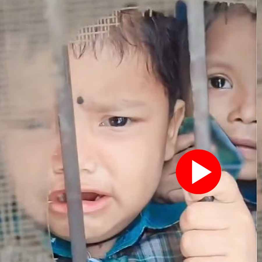 Video shows kids pleading to go back to mother in school